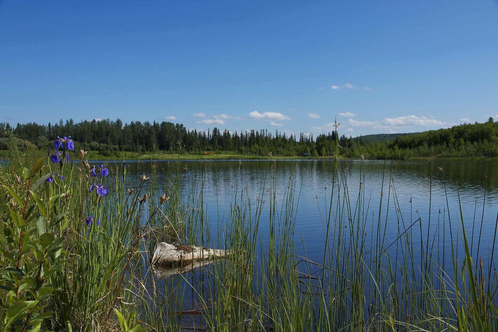 Wedgewood Resort Fairbanks Exterior foto